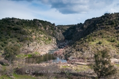 Erges River canyon
