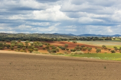 Alentejo landscape