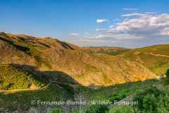 Vale do Mondego