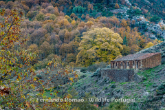 Vale do Mondego